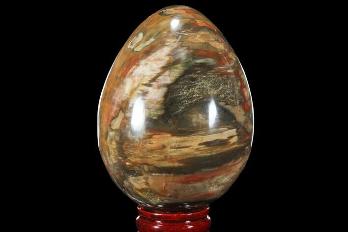 Colorful, Polished Petrified Wood Egg - Triassic #106582